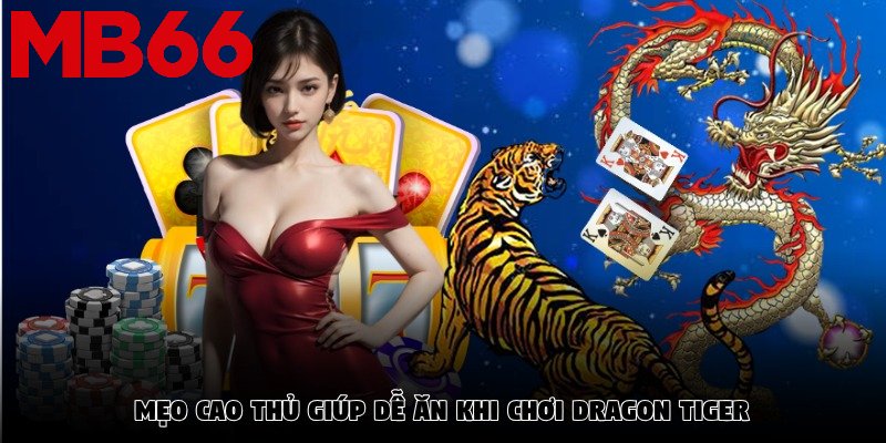 Mẹo cao thủ giúp dễ ăn khi chơi Dragon Tiger
